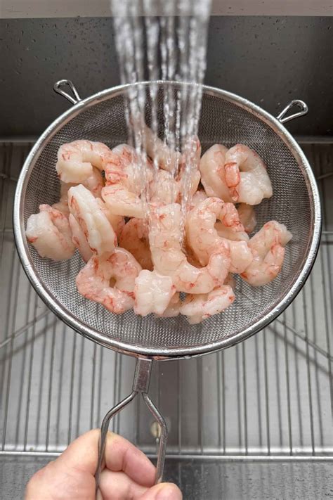 guide to shrimp not drinking for beginners 11