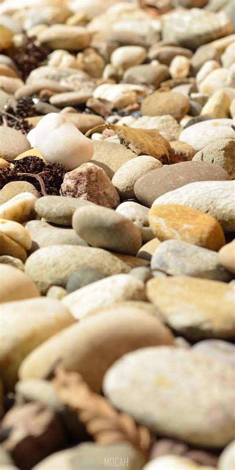 stone  pebbles macro hd wallpaper rare gallery