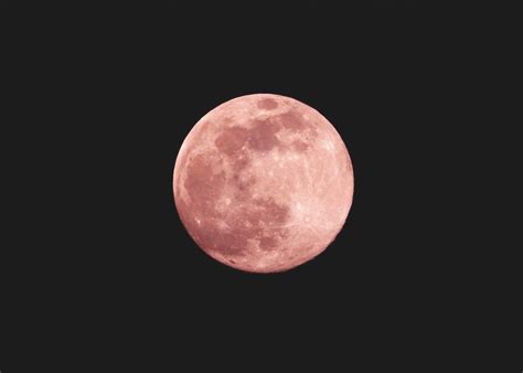 Full pink moon in April 2023: What is it and how it impacts all zodiacs
