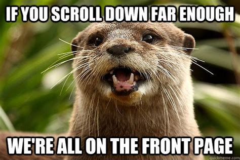 Sociolatte | Super funny, Memes, Otters