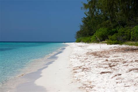 Crocodile Island: jaco island