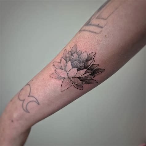Water Lily Tattoo Ideas: Designs and the Meaning