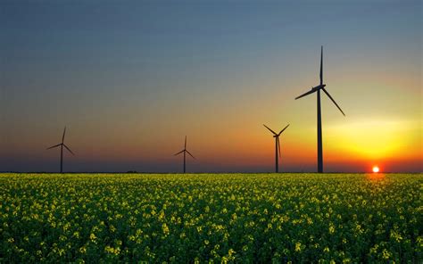 Beautiful Windmill wallpaper | 1920x1200 | #8580
