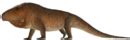 Trilophosaurus - Wikipedia