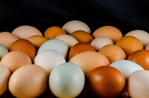 premium photo chicken eggs   colors   black background