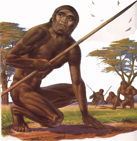 Terra Forming Terra: Homo Erectus in North America