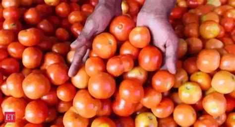 pakistani farmers destroy iranian tomatoes   affects  profit