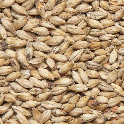 Солод Pale Ale Malt ~ 7 EBC Avangard Malz 5 кг от производителя ...