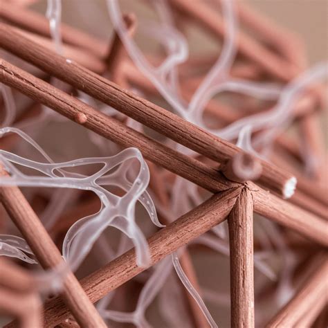 Can Zoos Truly Replicate Natural Habitats? → Question