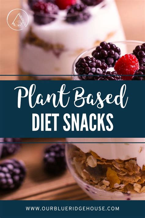 30 Best Plant Based Diet Snacks - Our Blue Ridge House
