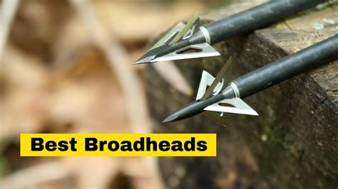 Best Broadheads for Hunting 2019- Fixed Blade, Mechanical or Hybrid ...