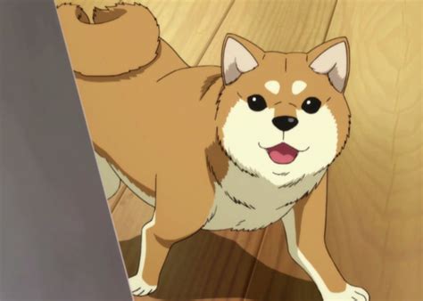 todays anime dog   day  pochi  soul