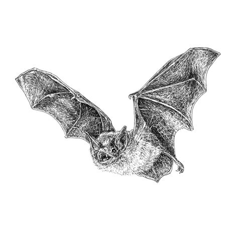 Art by Kylie – Page 2 – Artwork by Kylie MacEachern