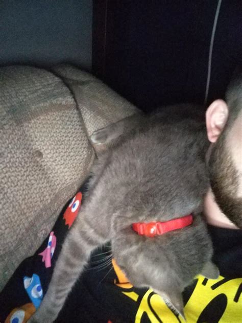 You Won T Believe What Pineapplebrat Spilled This Subscription Secret Will Freeze Your Tongue news