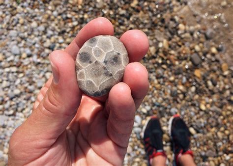 The Legend of the Petoskey Stone | Petoskey Stone Tile & More