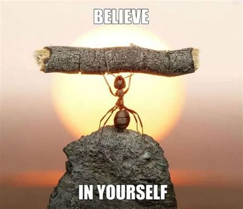 68 Inspirational Memes To Brighten and Encourage Your Day