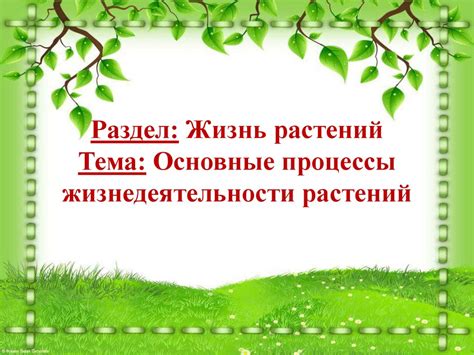Основные процессы жизнедеятельности растений - презентация онлайн