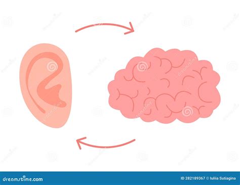 connection  brain  ear hear organ unity relation  mental health