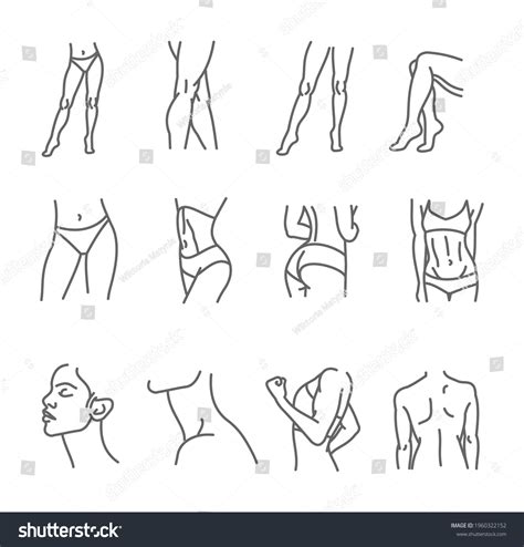 3+ Thousand Naked Female Abs Royalty-Free Images, Stock Photos