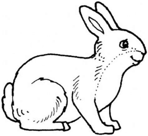 Realistic Rabbit Coloring Pages - Coloring Home