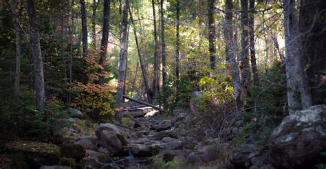 Why christopher creek was chosen for the new film project 19