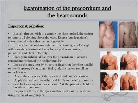 functional assessment and physical examination of the cardiovascular