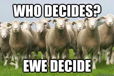 Youth Decide memes | quickmeme