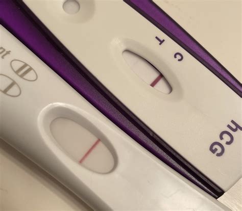 Walmart Evap Lines at Max Bosch blog