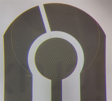 microelectrode array mea micrux technologies