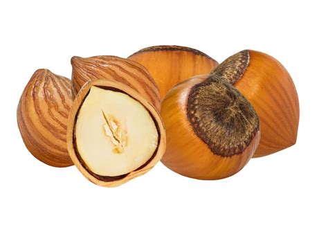 premium psd kit hazelnut shell  hazelnut core  grain depth