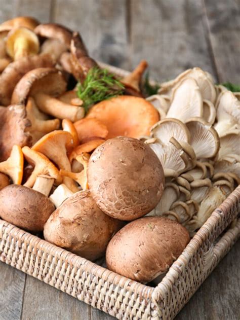 incredible benefits  mushrooms