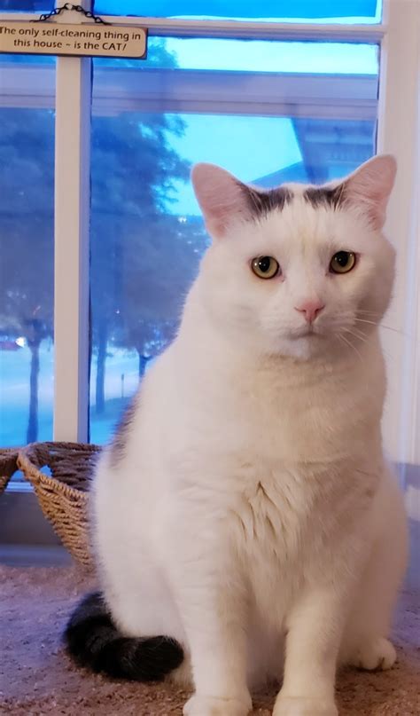 Griffin-Roughton Funeral Home: Memorials and Services 15