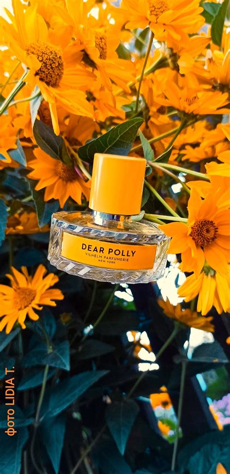 Dear Polly Vilhelm Parfumerie perfume - a fragrance for women and men 2015