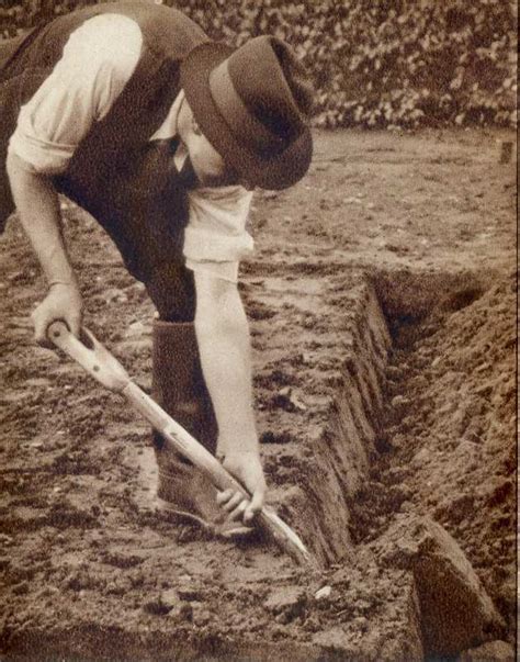 dig simple digging bastard trenching dig  victory