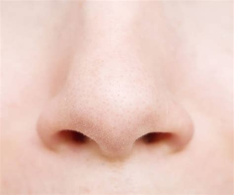 Human Nose Stock Photos, Pictures & Royalty-Free Images - iStock 