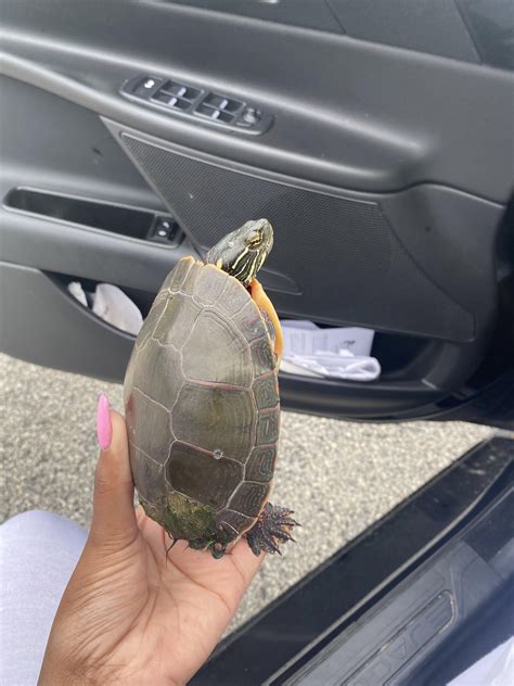 overview for thelifeofmalij