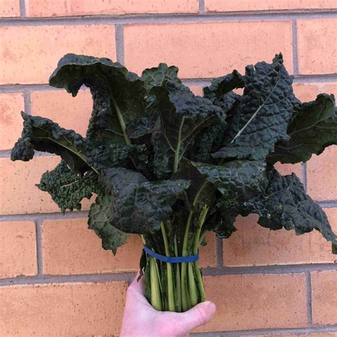 Organic Tuscan Kale - The Wholefoods Crew
