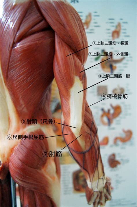 aptr