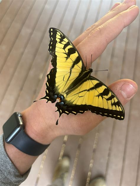 Tennessee Naturalist Program