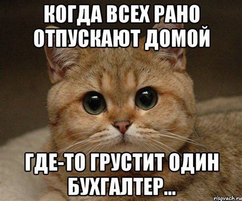 Прикольные и смешные картинки про бухгалтеров (ко Дню бухгалтера)