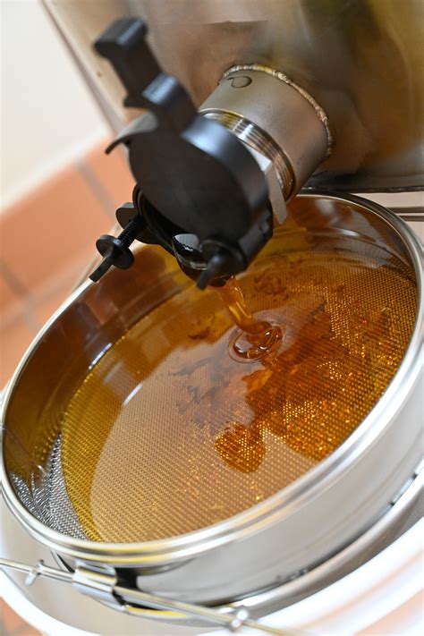 South Carolina Governor's School for Agriculture at John de la Howe