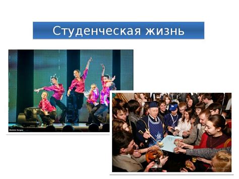 Южно-Уральский государственный университет