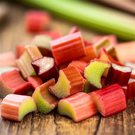 Rhubarb (Rheum) Champagne