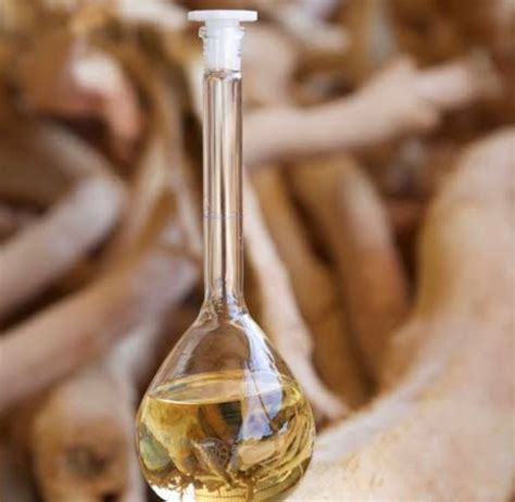 sandal agaci yagi designer yasemin karaduman