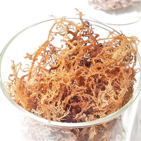 carrageenan manufacturer carrageenan factory greenfresh