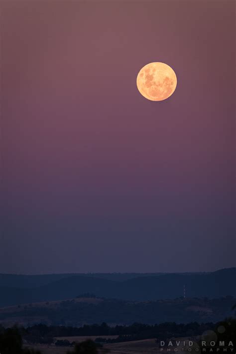 David Roma Photography | Purple moon