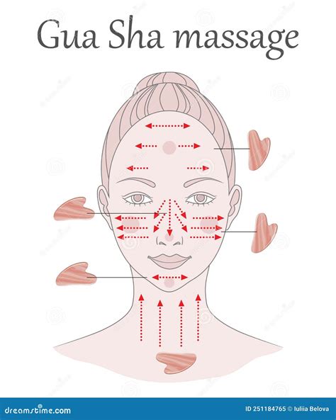 Chinese Massage with Gu Sha Stones. Lines of Massage on the Face