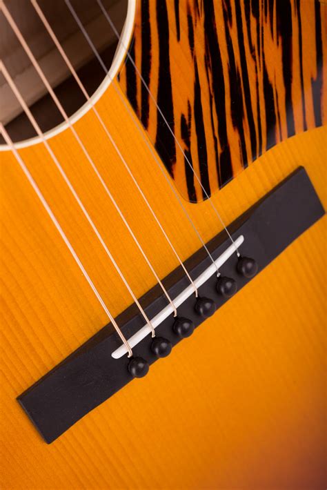 Waterloo WL-12 - hkguitarstore.com
