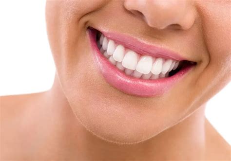 What Are All 32 Teeth? A Friendly Guide to Understanding Your Teeth