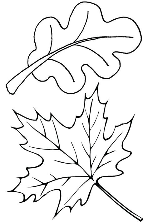 Jungle Leaves Coloring Pages at GetColorings.com | Free printable ...